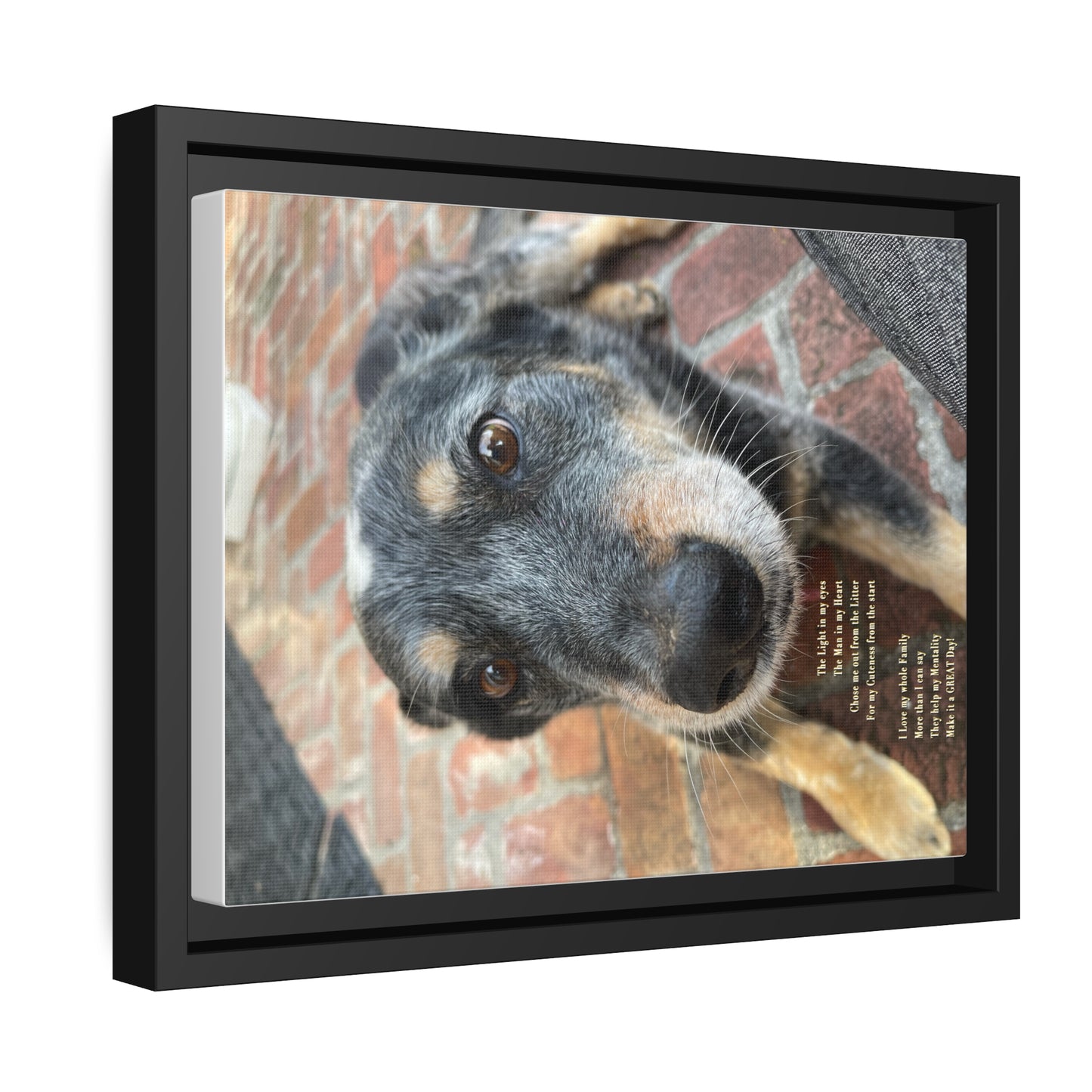 Herr Hund, Jack • Matte Canvas, Black Frame