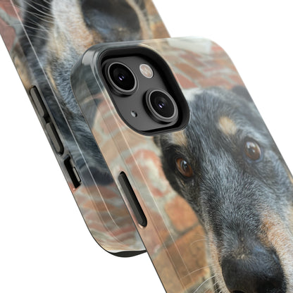 Herr Hund, Jack • Impact-Resistant Cases