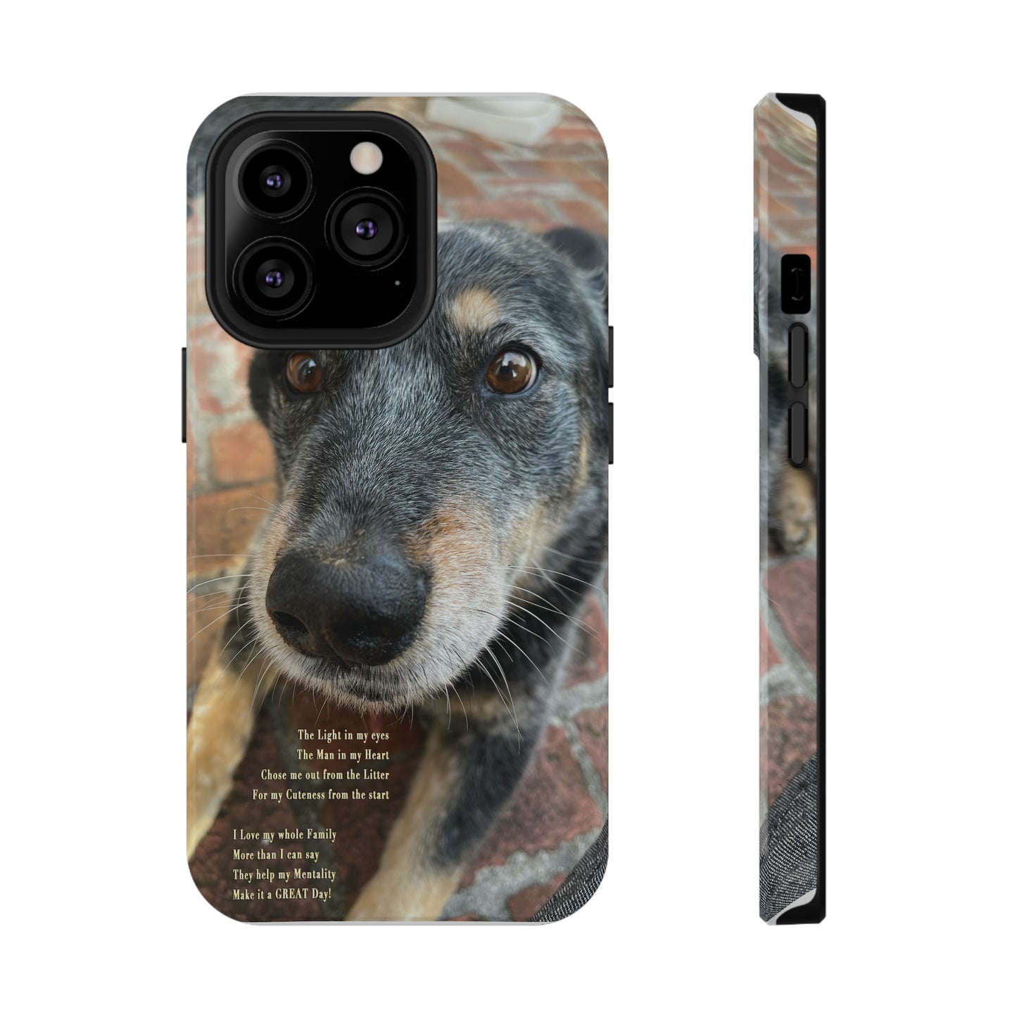 Herr Hund, Jack • Impact-Resistant Cases