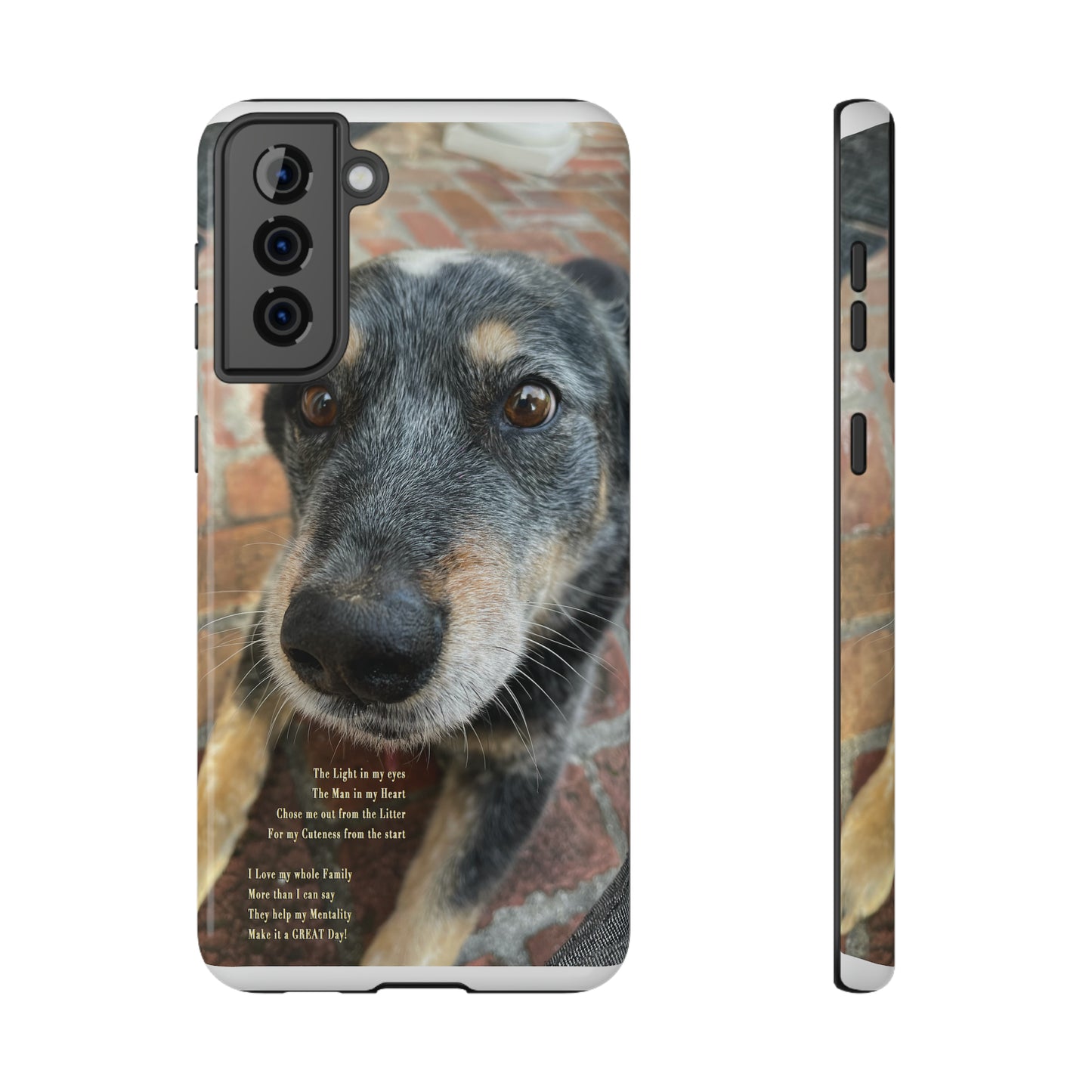 Herr Hund, Jack • Impact-Resistant Cases