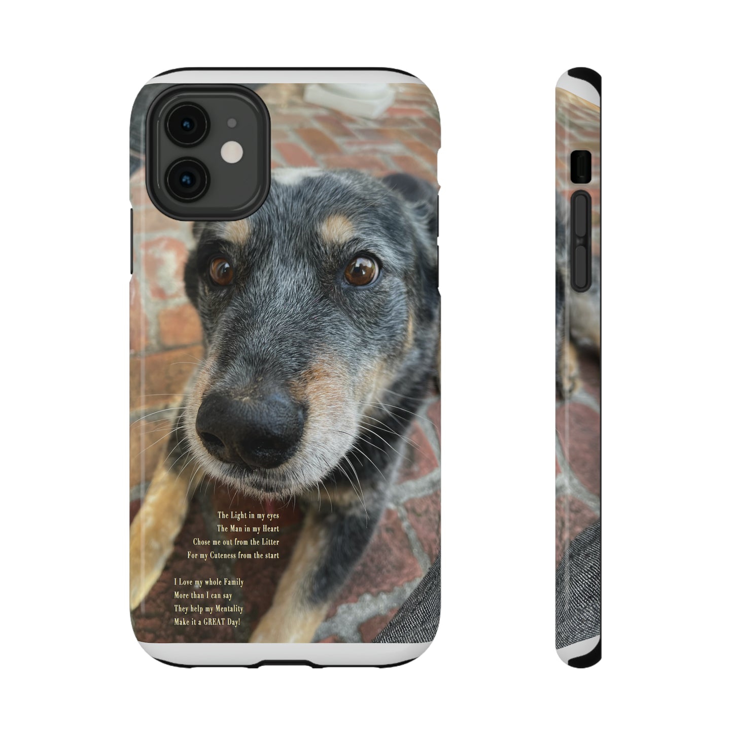 Herr Hund, Jack • Impact-Resistant Cases