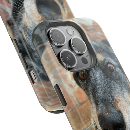 Herr Hund, Jack • Impact-Resistant Cases