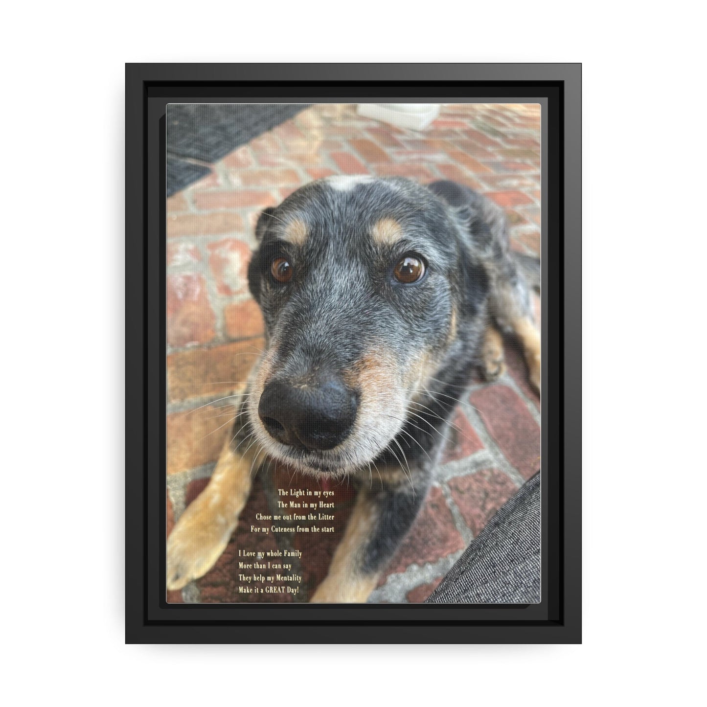 Herr Hund, Jack • Matte Canvas, Black Frame