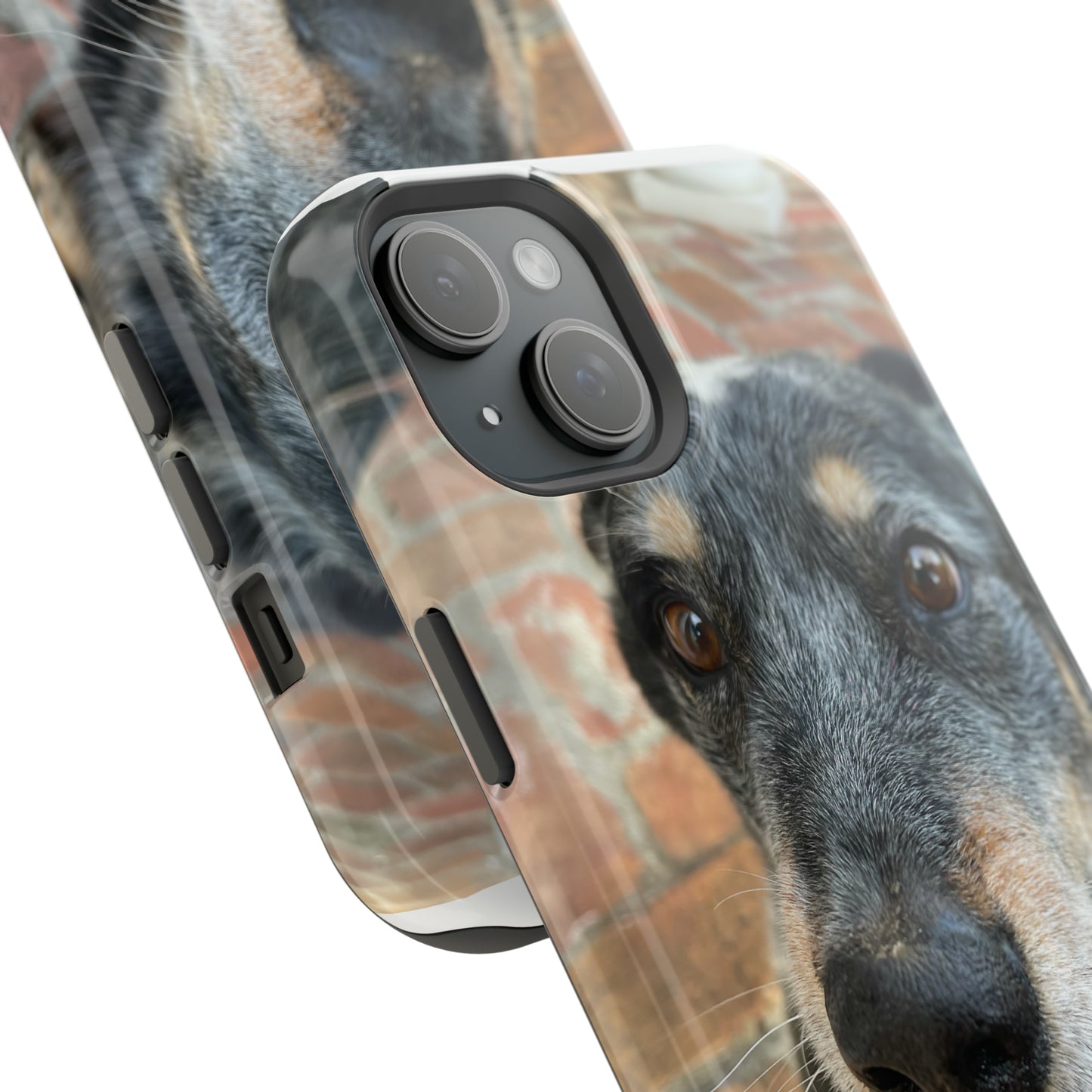 Herr Hund, Jack • Impact-Resistant Cases