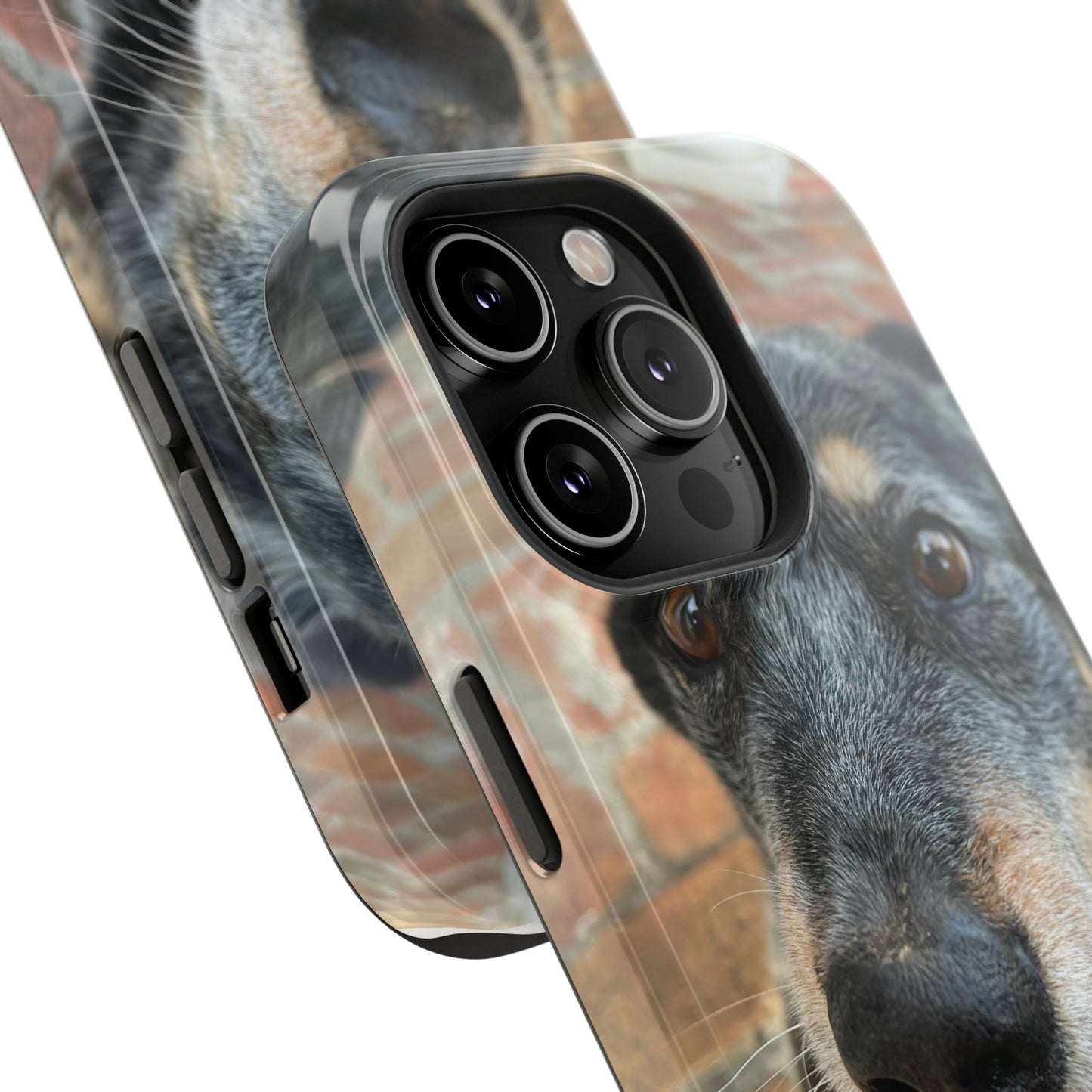 Herr Hund, Jack • Impact-Resistant Cases