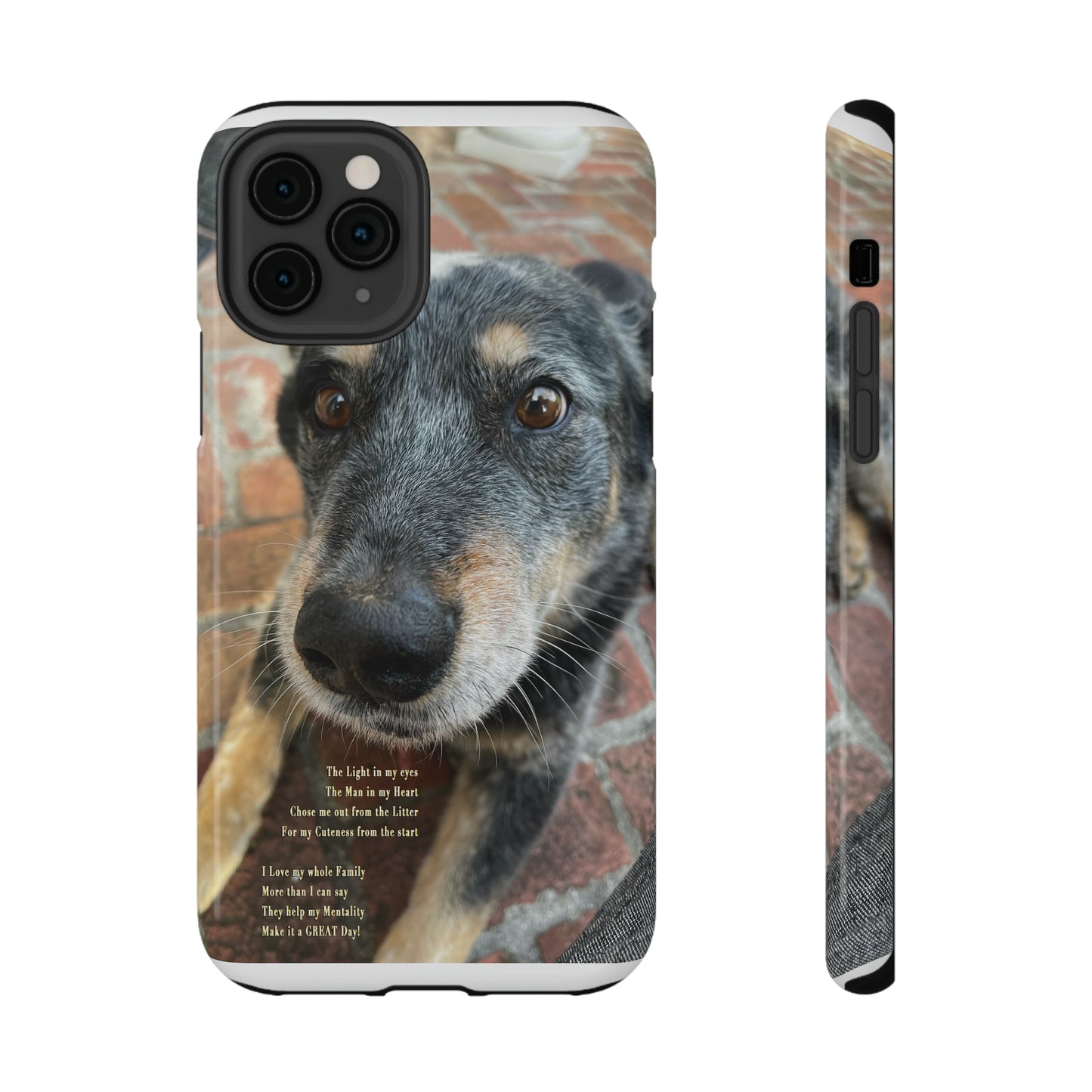 Herr Hund, Jack • Impact-Resistant Cases