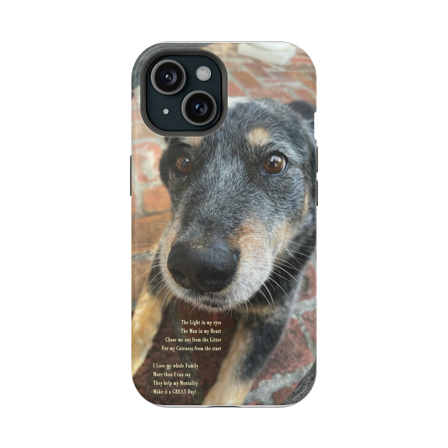 Herr Hund, Jack • Impact-Resistant Cases