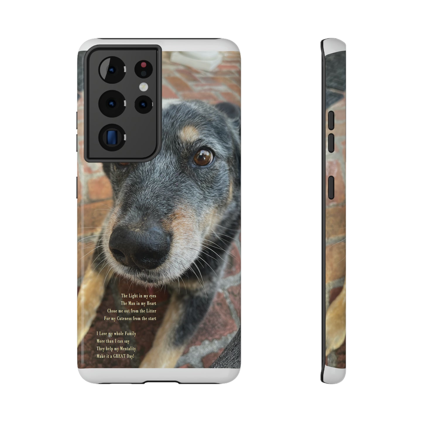 Herr Hund, Jack • Impact-Resistant Cases