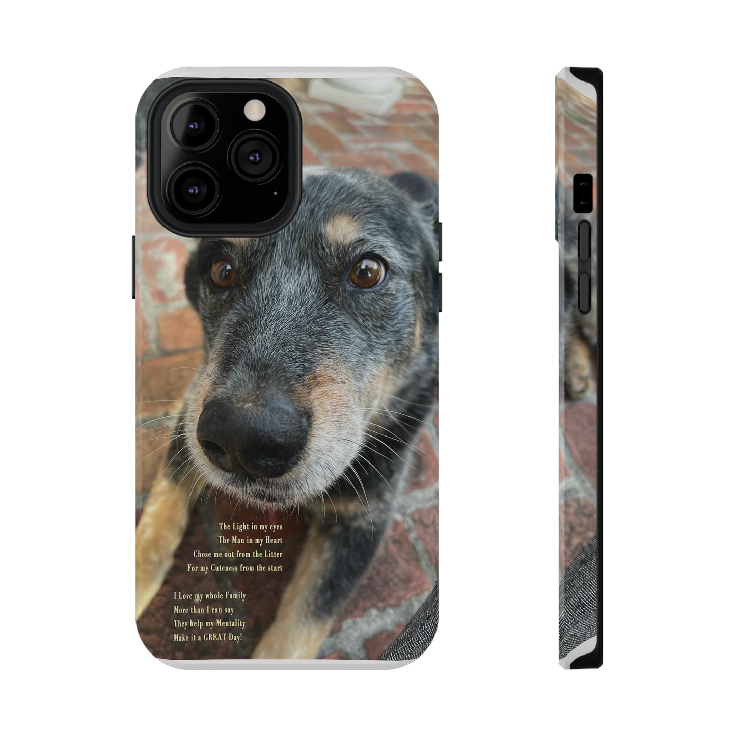 Herr Hund, Jack • Impact-Resistant Cases