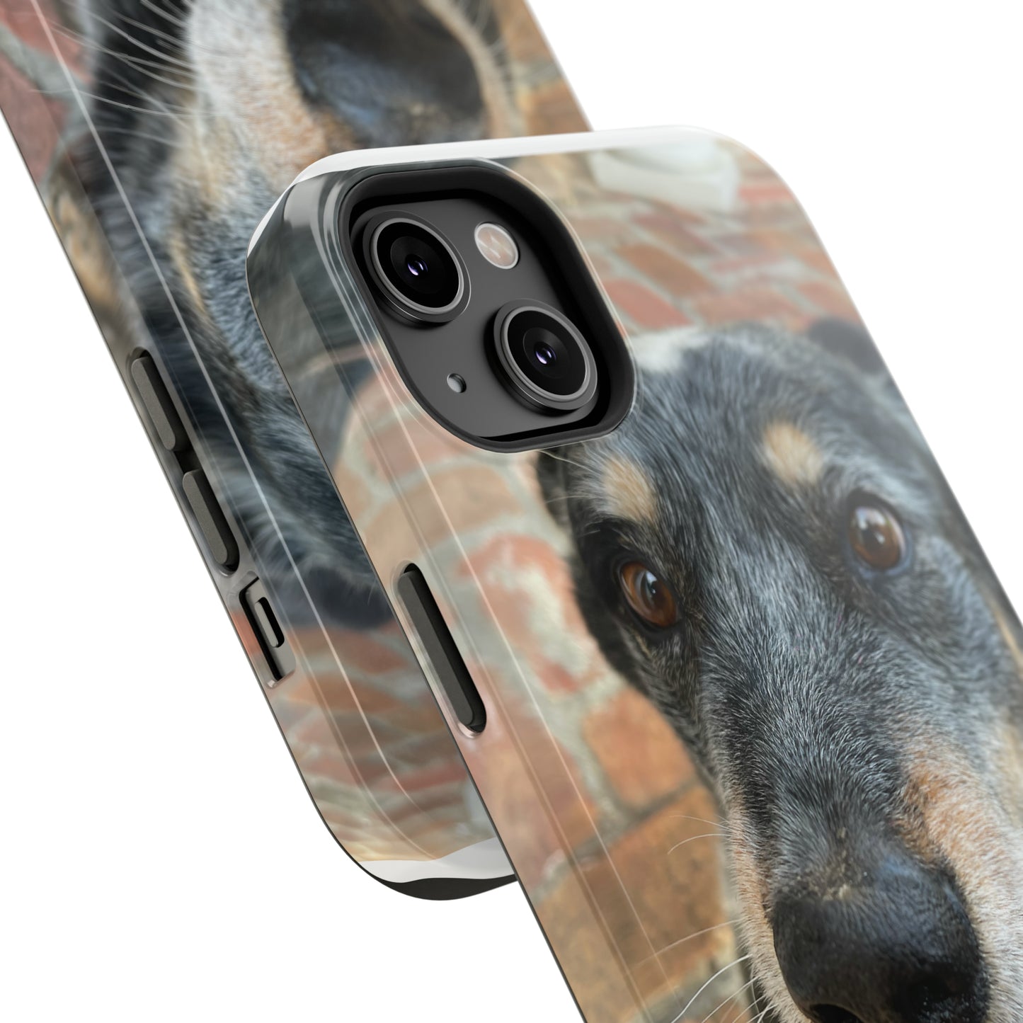 Herr Hund, Jack • Impact-Resistant Cases