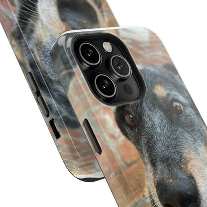 Herr Hund, Jack • Impact-Resistant Cases