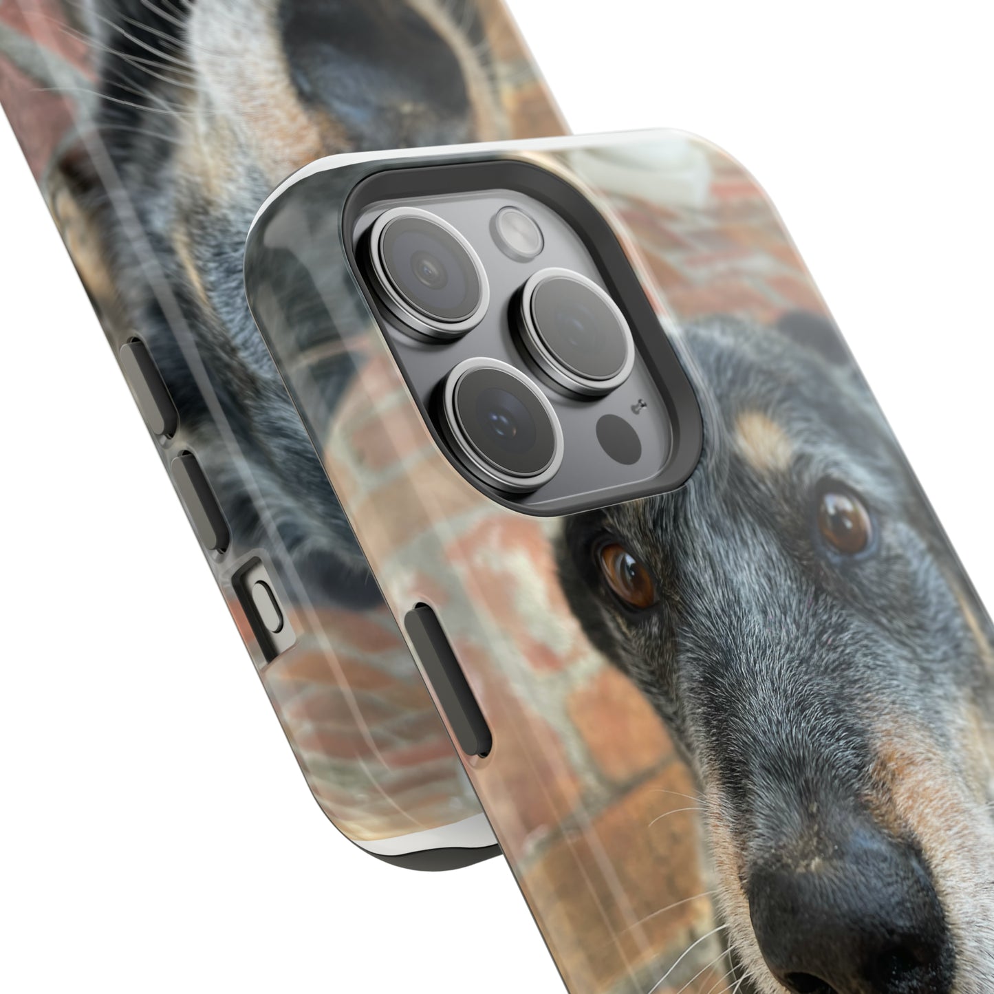 Herr Hund, Jack • Impact-Resistant Cases