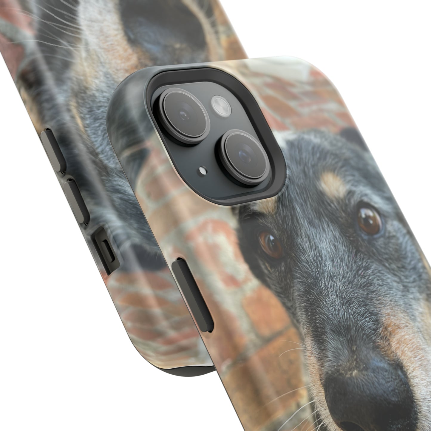 Herr Hund, Jack • Impact-Resistant Cases