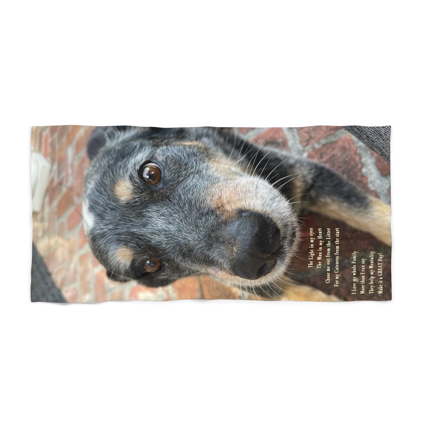 Herr Hund, Jack • Beach Towel